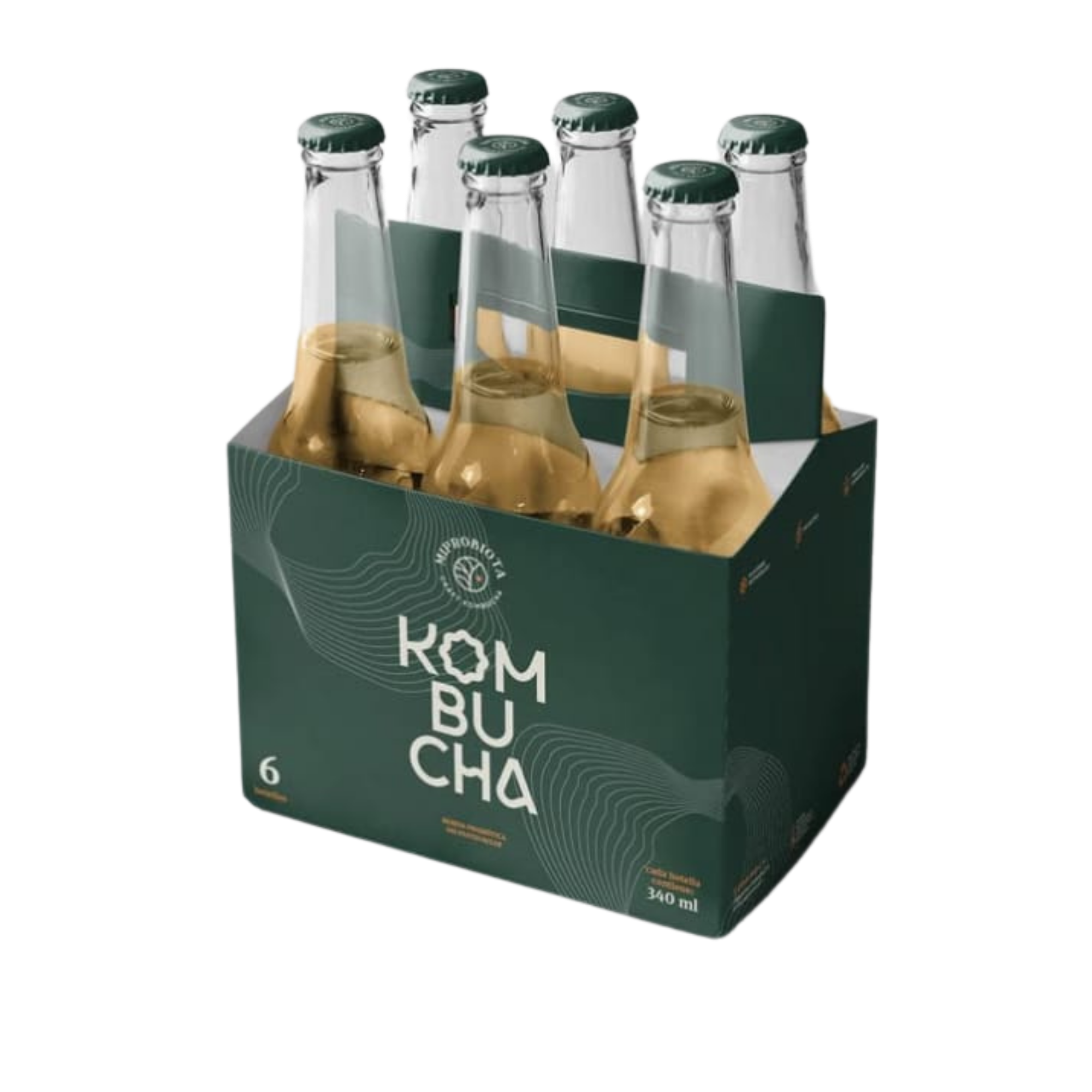SIX PACK KOMBUCHA